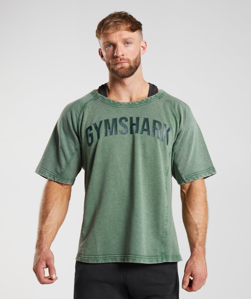 Koszulki Gymshark Power Washed Rag Top Męskie Zielone | PL 251TYD